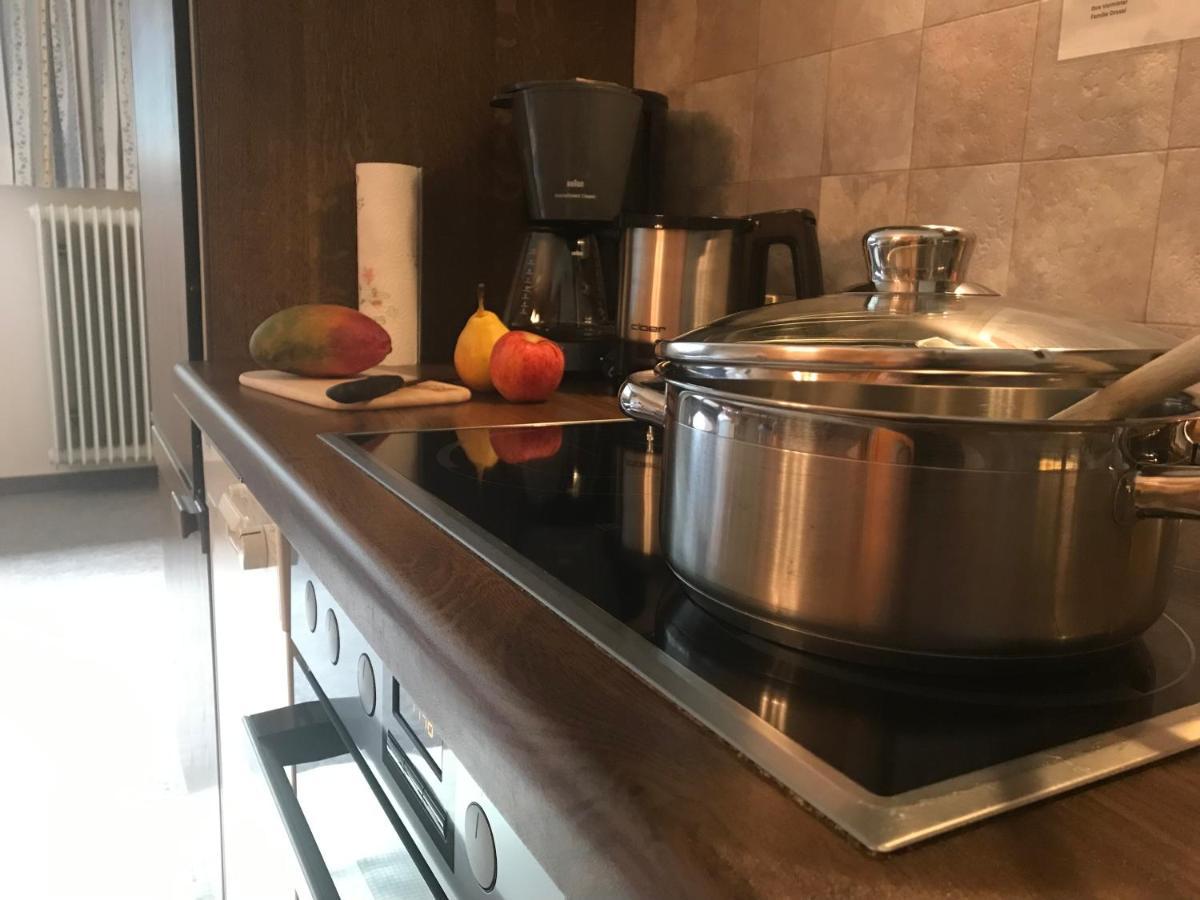 Apartmán Pony-Ziegen-Hasen-Ranch Bichlbach Exteriér fotografie