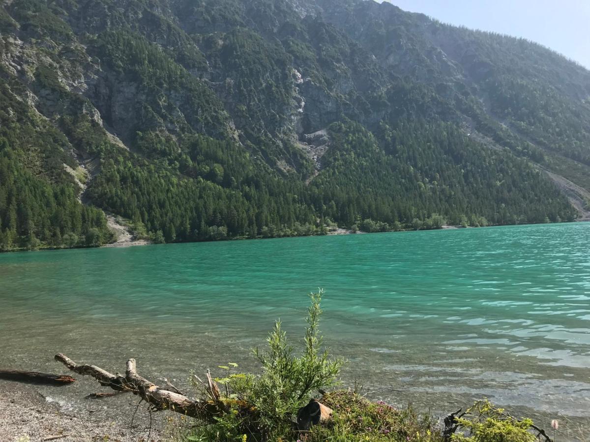 Apartmán Pony-Ziegen-Hasen-Ranch Bichlbach Exteriér fotografie