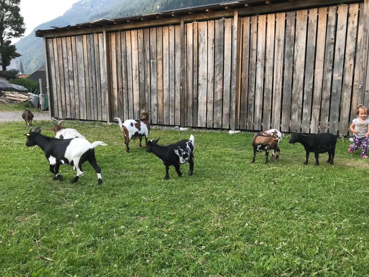 Apartmán Pony-Ziegen-Hasen-Ranch Bichlbach Exteriér fotografie