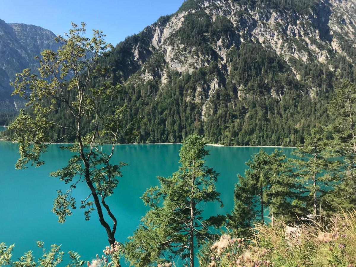 Apartmán Pony-Ziegen-Hasen-Ranch Bichlbach Exteriér fotografie
