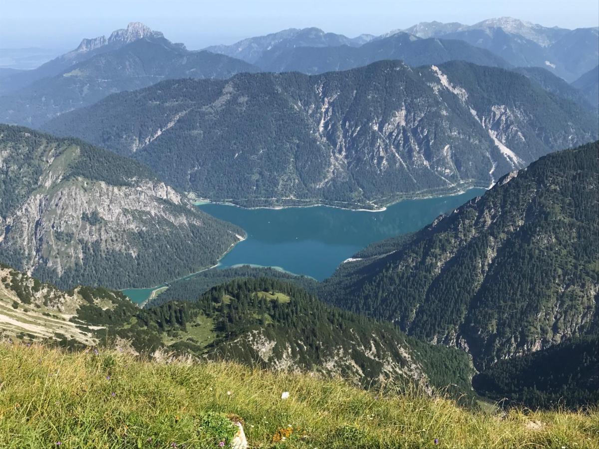 Apartmán Pony-Ziegen-Hasen-Ranch Bichlbach Exteriér fotografie