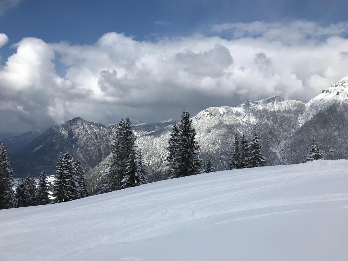 Apartmán Pony-Ziegen-Hasen-Ranch Bichlbach Exteriér fotografie