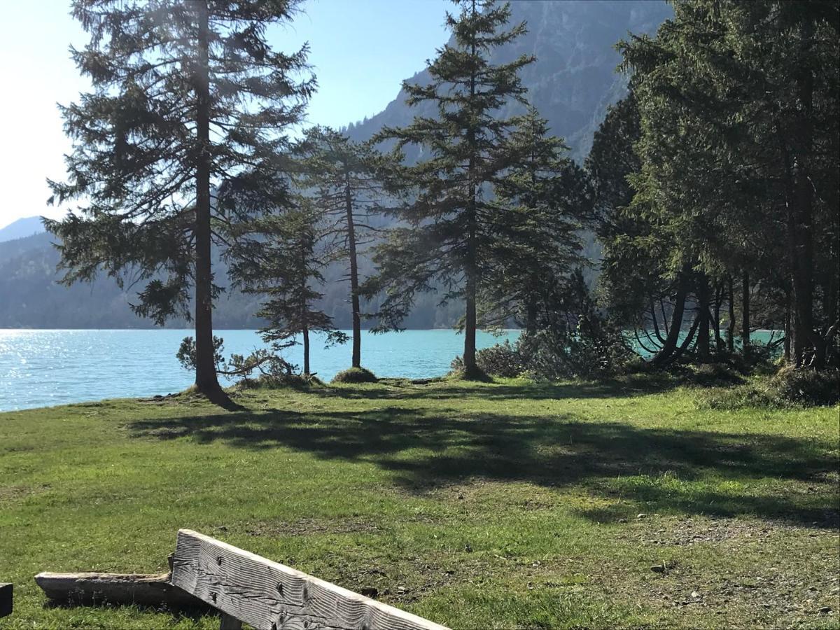 Apartmán Pony-Ziegen-Hasen-Ranch Bichlbach Exteriér fotografie